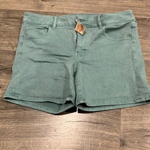 American eagle size 14 teal shorts